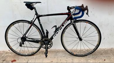 Focus Izalco