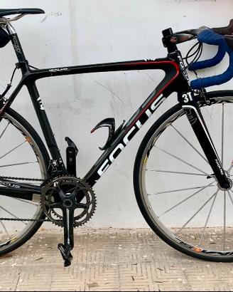 Focus Izalco