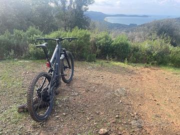 E-mtb specialized levo alloy 2025