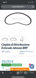 Cinghia BRP - NUOVA