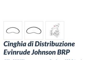 Cinghia BRP - NUOVA