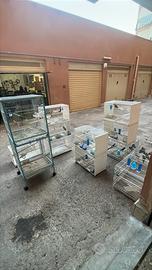 Pappagalli: coppie riproduttive Roseicollis