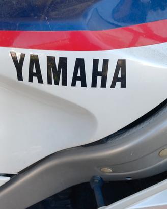 Yamaha fzr