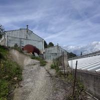 2 serre 600 e 200 m2