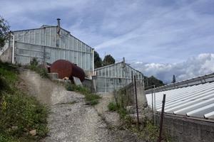 2 serre 600 e 200 m2