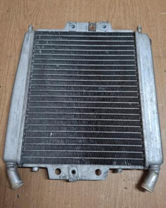 radiatore maggiorato zip sp mk2