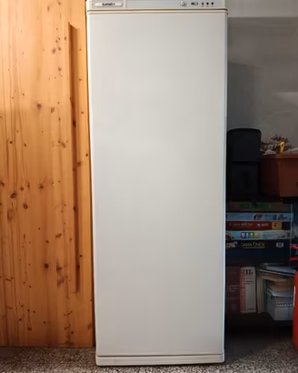 FRIGO CONGELATORE VERTICALE 145 lt SANCY