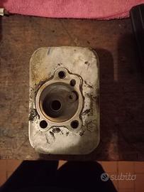 testa D43 ciao piaggio