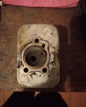 testa D43 ciao piaggio