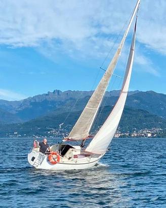 Barca a vela COMET 800
