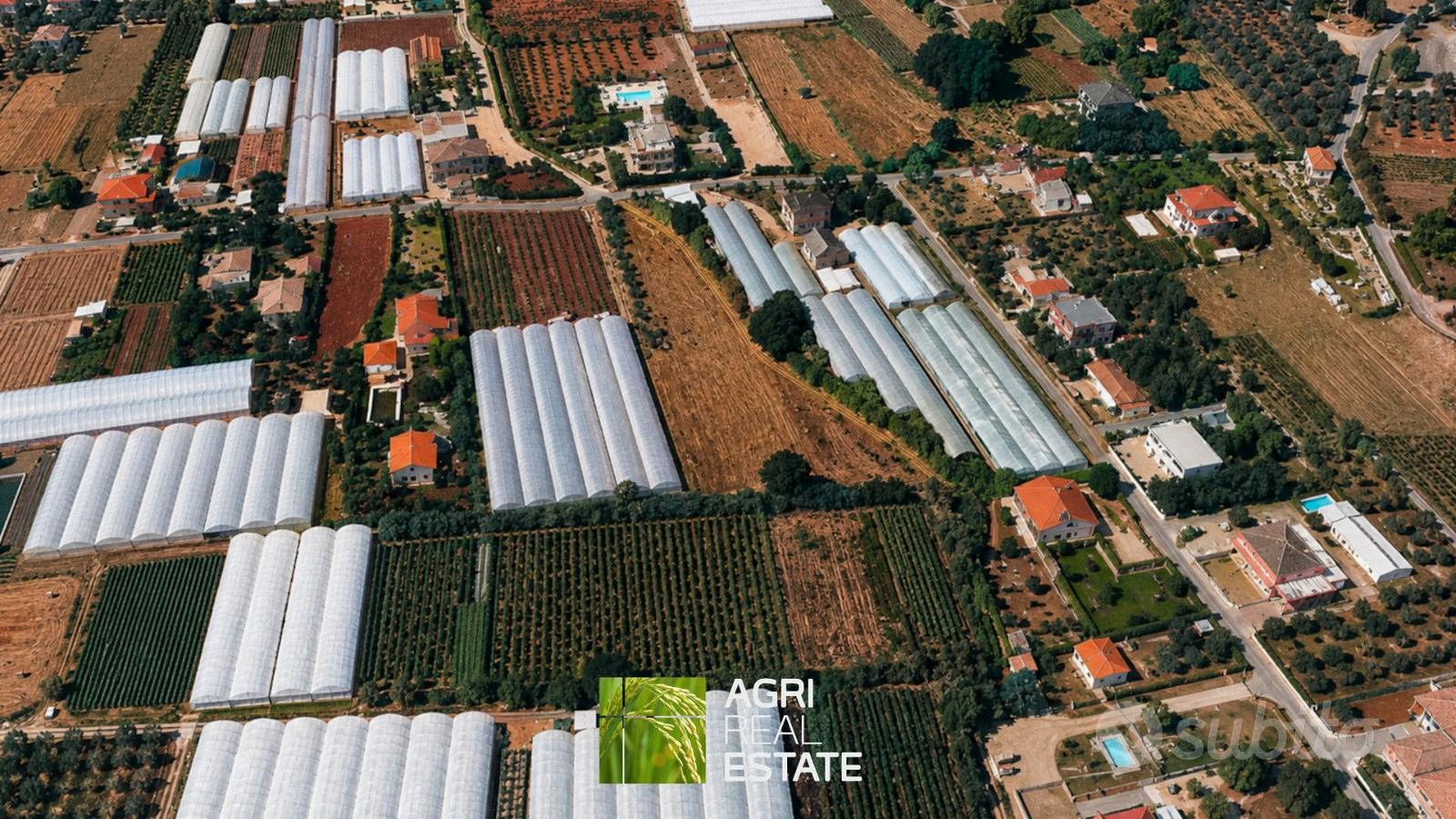 Terreno agricolo di 5.000 mq ideale per serre - Vista 3