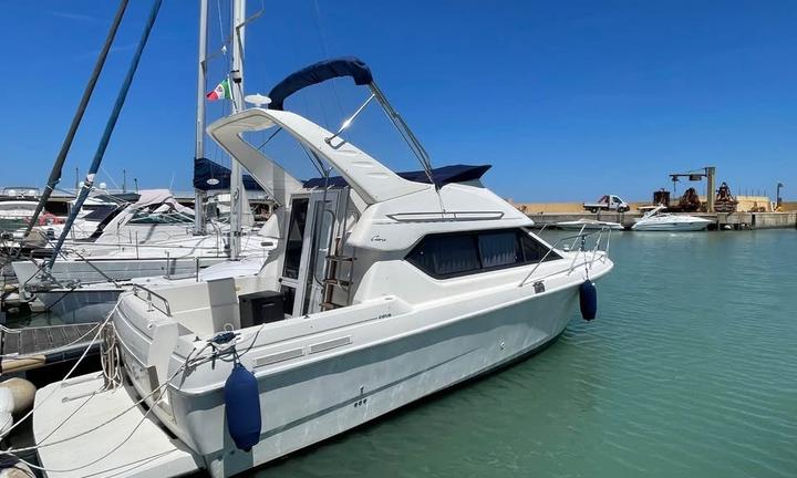 Bayliner fly bridge 288