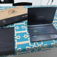 MSI katana 17.3