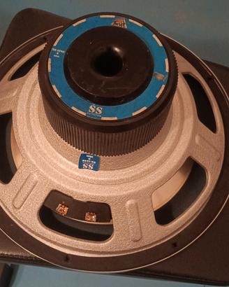 subwoofer da auto