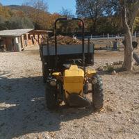 Motoagricola Pasquali 955 tr 387