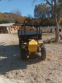 Motoagricola Pasquali 955 tr 387