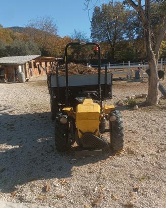 Motoagricola Pasquali 955 tr 387