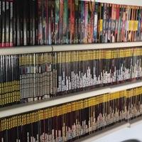 Collezione fumetto Dylandog