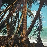 Le Antille, le grandi distese selvagge