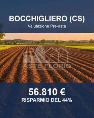 Immobile in asta di 119110 m² a Bocchigliero