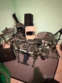 Batteria ALESIS SURGE MESH KIT