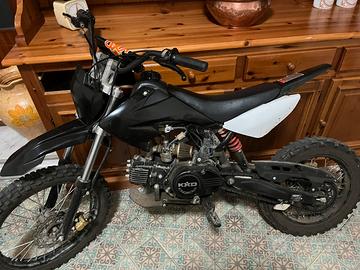 pit bike 125 16 cavalli