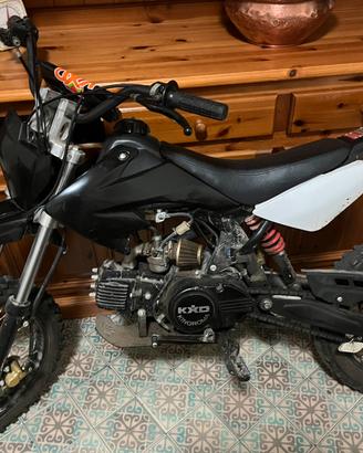 pit bike 125 16 cavalli
