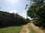 Immagine 14