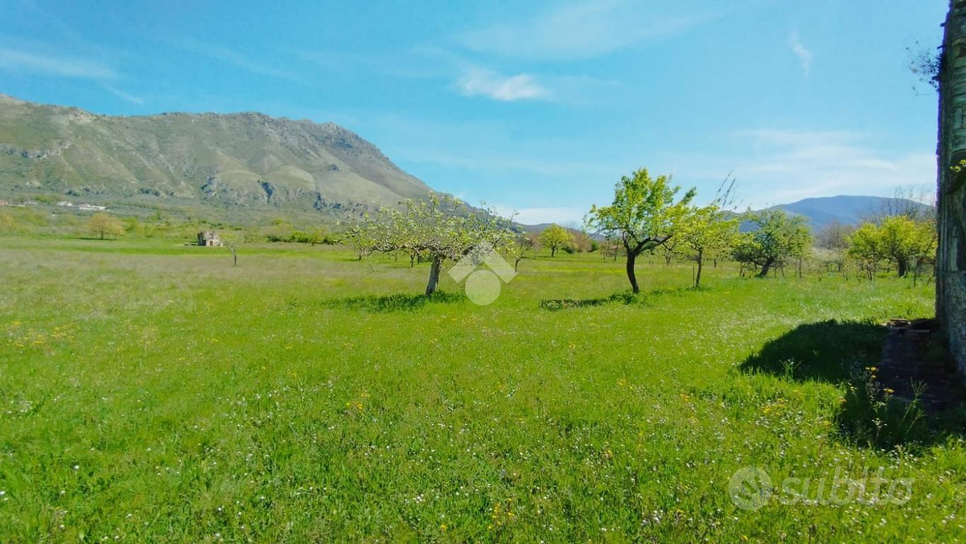 RUSTICO A SAN VITTORE DEL LAZIO - Altro