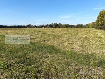 Terreno agricolo di mq. 13.300 ca