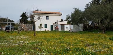 Casa Matilda - Abbasanta - Sardegna - IUN R4877