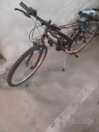 Mtb  bimbo