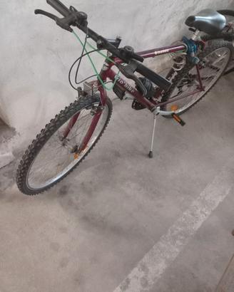 Mtb  bimbo
