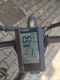 bicicletta elettrica 