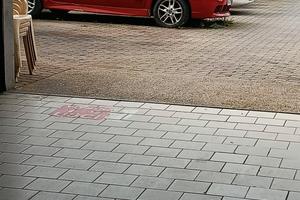 auto fiat punto sporting