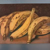 Cartolina postale del '900