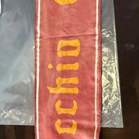 As roma sciarpa commando curva sud