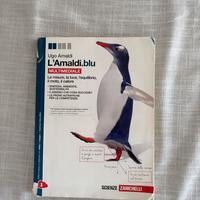 L’Amaldi blu
