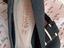 Immagine 4