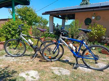 Bicicletta Mountain bike