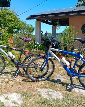 Bicicletta Mountain bike
