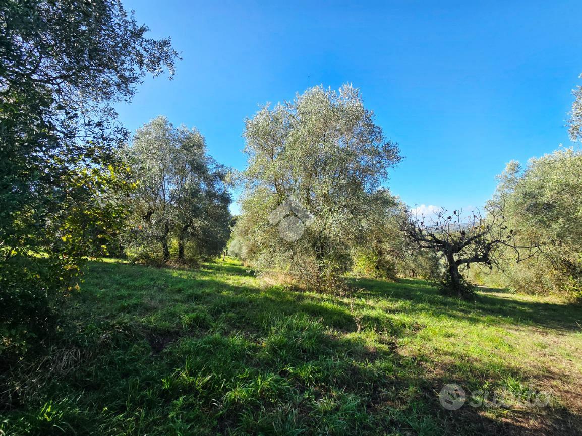 TER. AGRICOLO A FIANO ROMANO - Altro