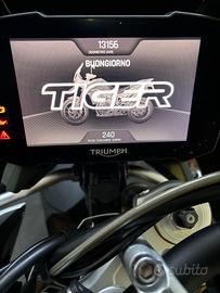 Moto Triumph Tiger Rally Pro 900