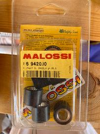 Rulli variatore Malossi