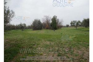 Terreno Agricolo Treglio [A4354872]