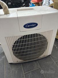 Condizionatore portatile carrier