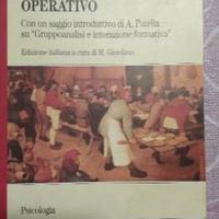 Anatomia del giudizio operativo