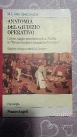 Anatomia del giudizio operativo