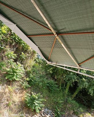 tettoia