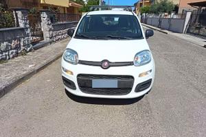 Panda Bianca